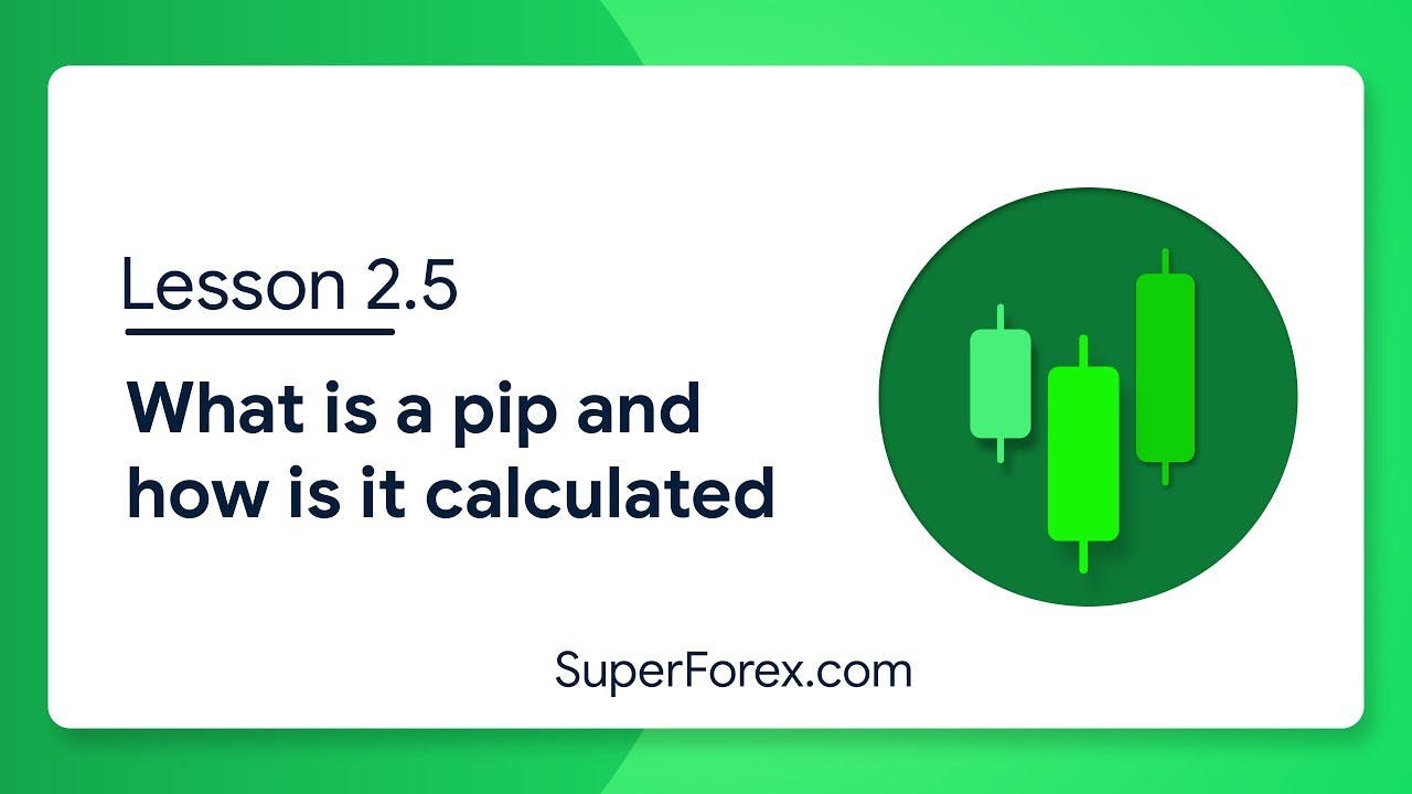 What is a pip and how is it calculated?